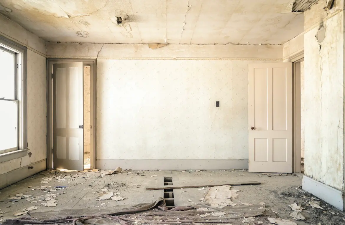 Waste disposal crew managing a cleanout project in Bushnell